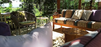 swiss eviniz hotel adults only