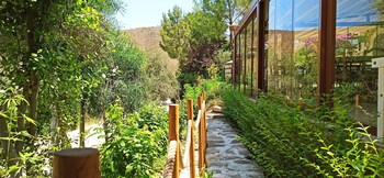 swiss eviniz hotel adults only