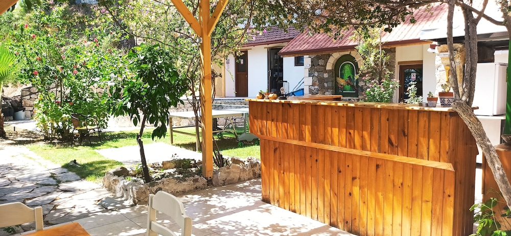 swiss eviniz hotel adults only