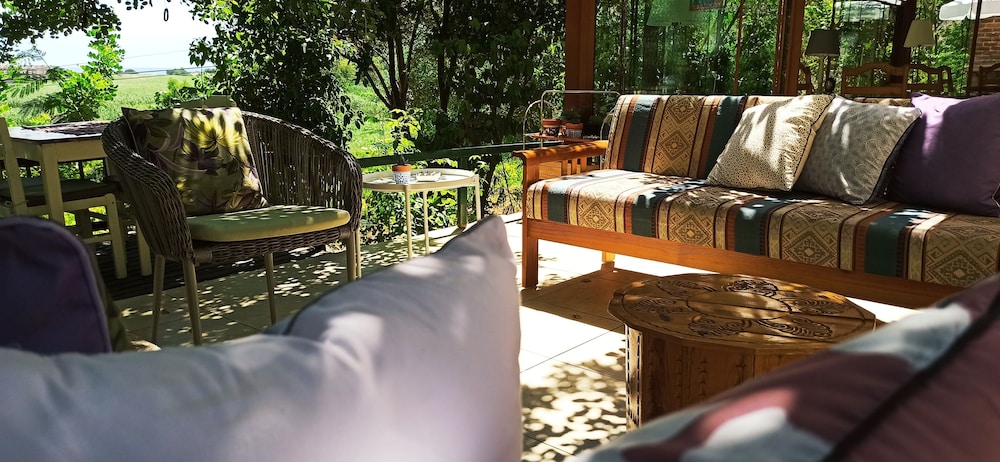 swiss eviniz hotel adults only