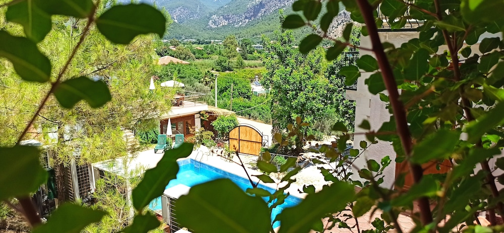 swiss eviniz hotel adults only