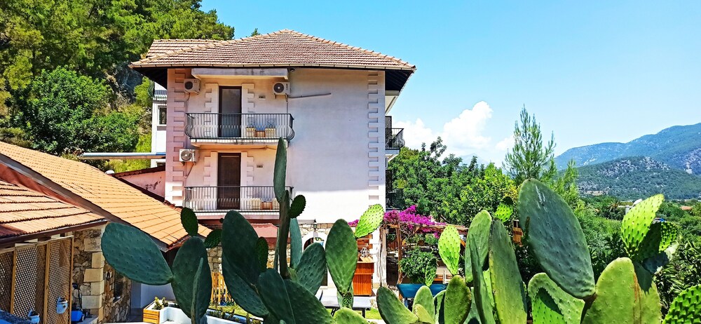 swiss eviniz hotel adults only