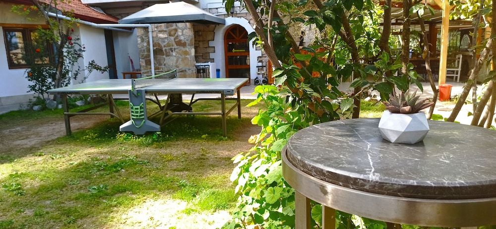 swiss eviniz hotel adults only