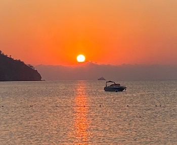 swiss eviniz hotel adults only