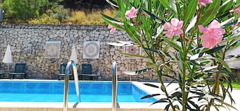 swiss eviniz hotel adults only