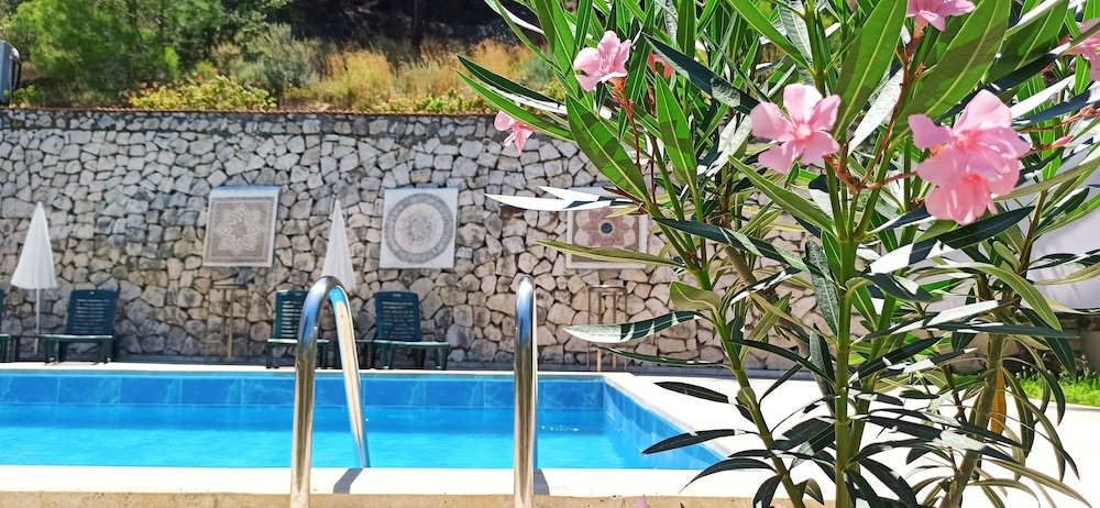 swiss eviniz hotel adults only