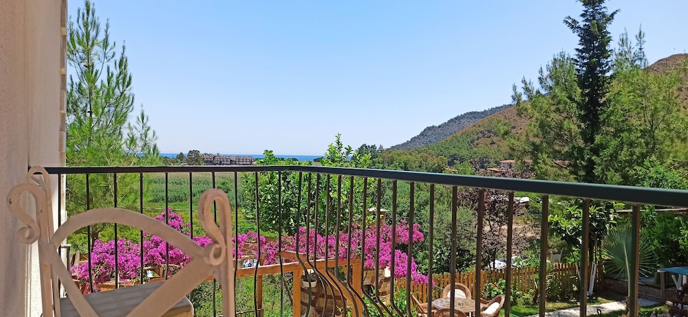 swiss eviniz hotel adults only