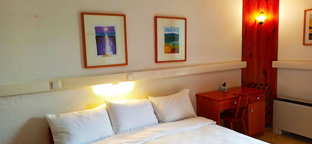 swiss eviniz hotel adults only