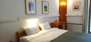 swiss eviniz hotel adults only