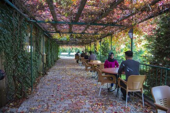 Basaranlar Thermal Hotel,Demirçevre>>Afyonkarahisar,3 star