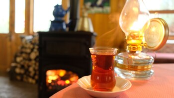 basaranlar thermal hotel