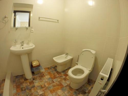 Artvilla Bakuriani,Borjomi>>Bakuriani,3 star