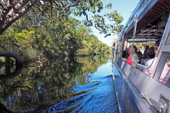 habitat noosa