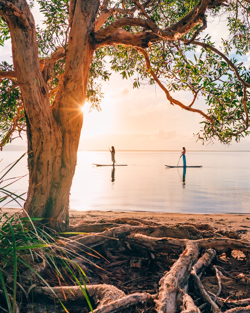 habitat noosa