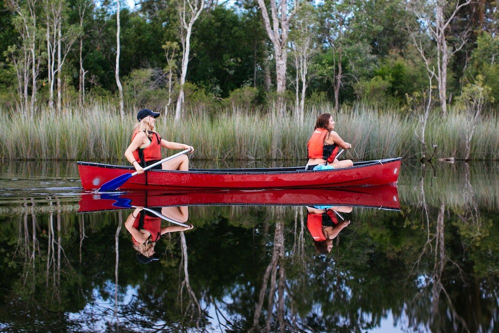 habitat noosa