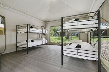 habitat noosa