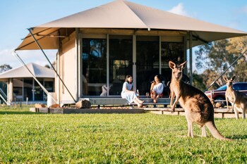 habitat noosa