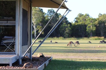 habitat noosa