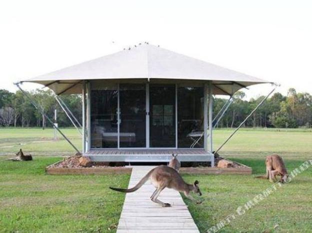 habitat noosa