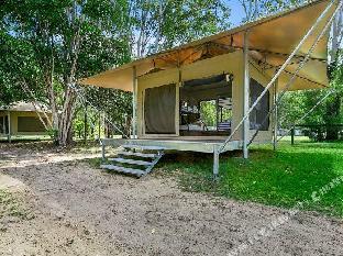 habitat noosa