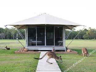 habitat noosa