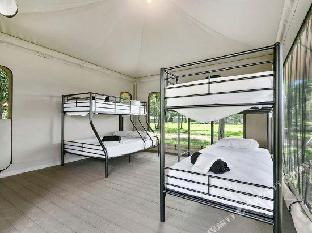 habitat noosa