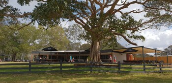 habitat noosa