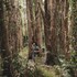habitat noosa