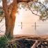 habitat noosa