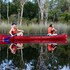 habitat noosa