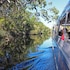 habitat noosa