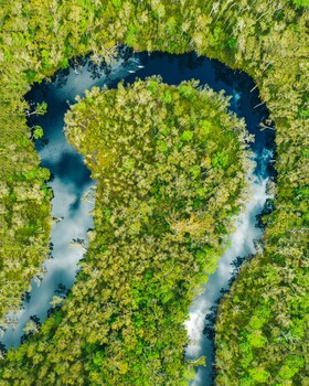 habitat noosa