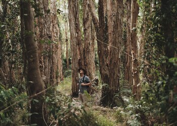 habitat noosa