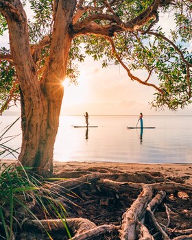 habitat noosa