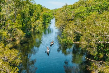 habitat noosa