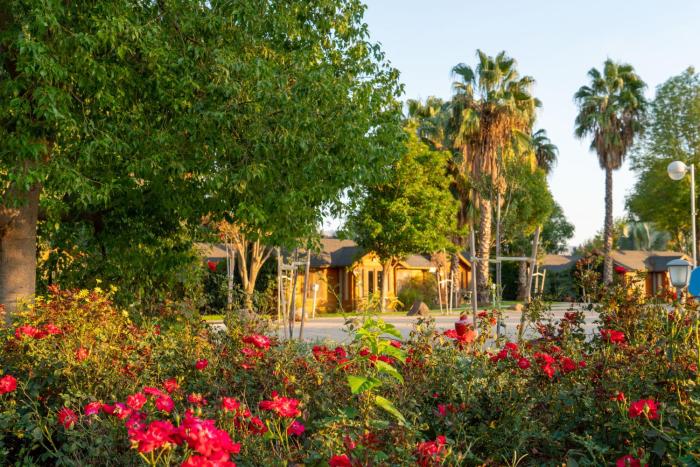 the village jordan riverside travel hotel
