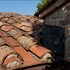 siena