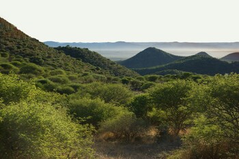 dusternbrook safari guest farm