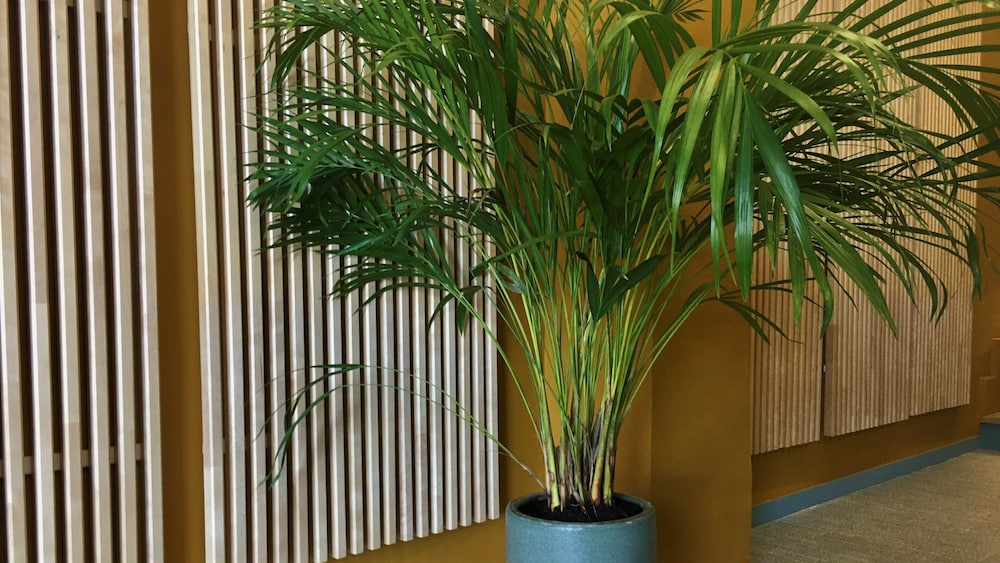 md modern hotel jardines