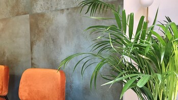 md modern hotel jardines