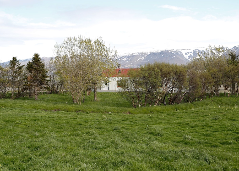 sy ra skor ugil guesthouse