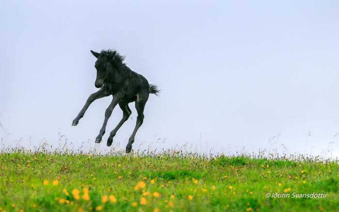 sy ra skor ugil guesthouse