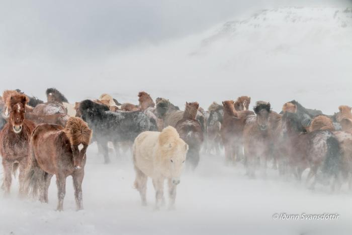 sy ra skor ugil guesthouse