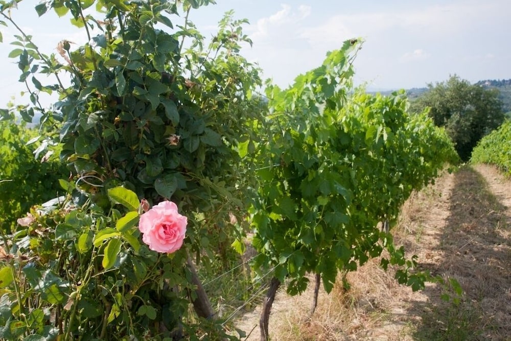 le fonti a san giorgio