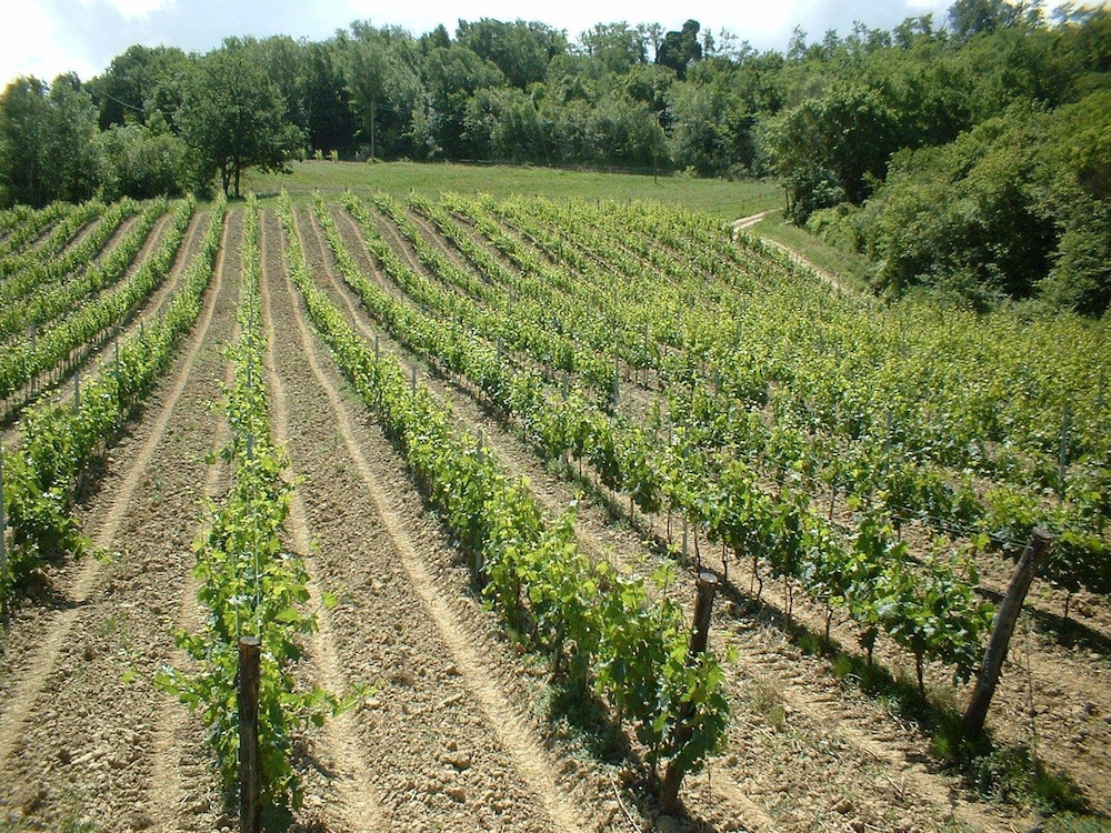 le fonti a san giorgio