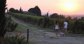 montespertoli
