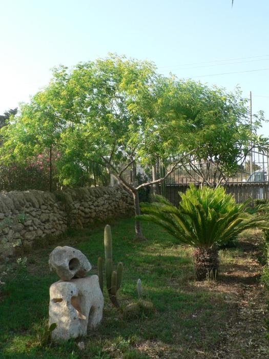 bandb villa francesco