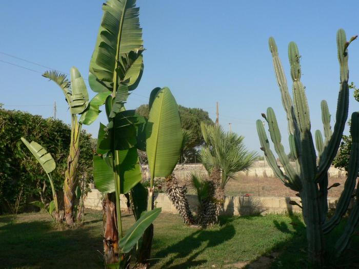 bandb villa francesco