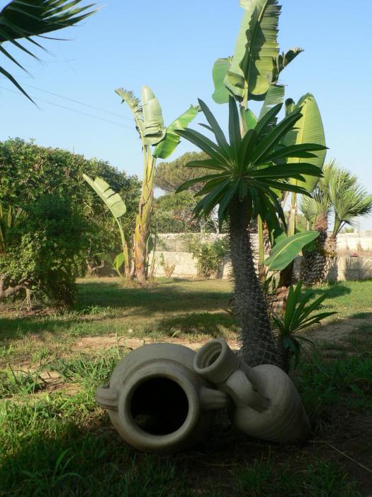 bandb villa francesco