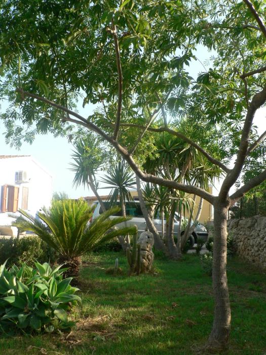 bandb villa francesco